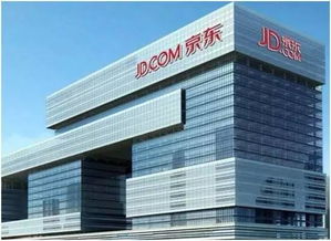 沈阳与北京强强联合 1210亿投资助推民生变革，金州云谱写新篇章
